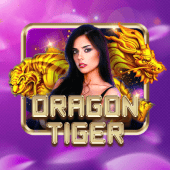 Dragon Tiger live casino on Yaman Plus